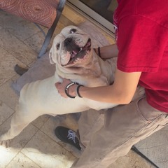 stressfull ft eviljemsek