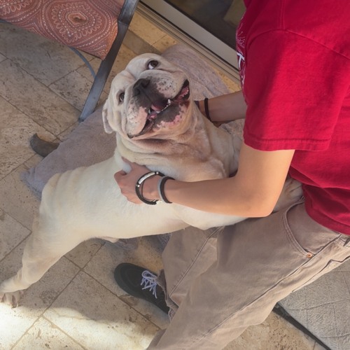 stressfull ft eviljemsek