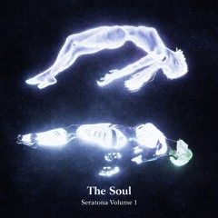 The Soul