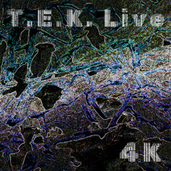 T.E.K. @ 4K Live Set
