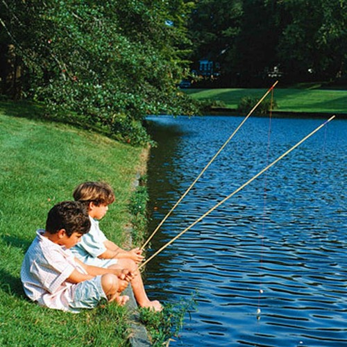 Stream Cane pole fishing to words of wisdom. WSGS listeners share