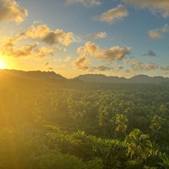 Tim Wesselingh - Tentacles