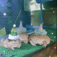 croakers