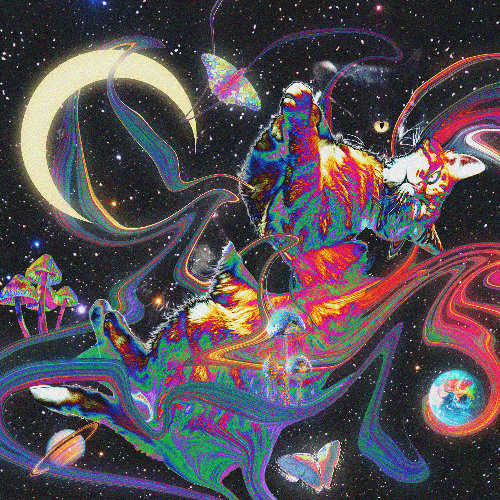 Premiere: B1 - Alexis Cabrera - Nonchalantly (Sweely Remix) [PDMV005]