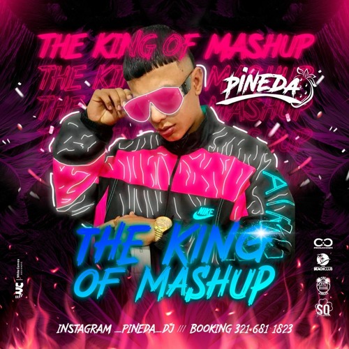 The King Of Mashup - Mixed by Pineda DJ