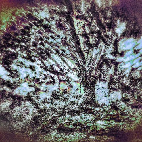 Extreme Face Fucking (Relapsed, In Denial, On Dope)