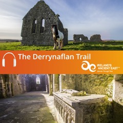 Derrynaflan Trail