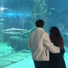 صدای تو، عشقِ دور