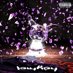 goviralgavin - lowkey