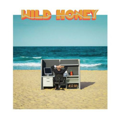 Wild Honey - This Time