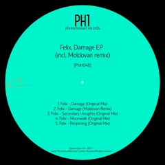 Damage (Moldovan Remix)