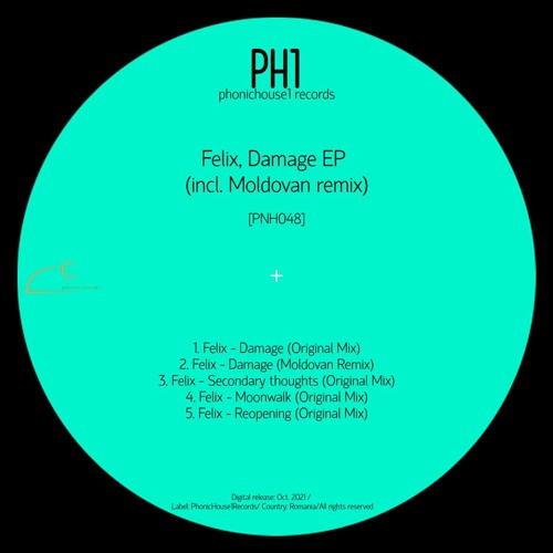 Damage (Moldovan Remix)