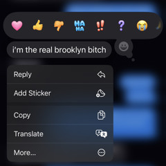 real brooklyn bitch (prod. brido)