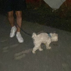 BU GECE YARALARIMIN HEPSİ GEÇİCEK