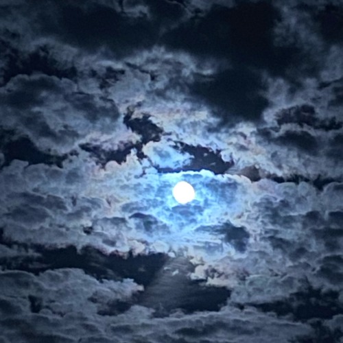 Les Tréfonds Du Noir