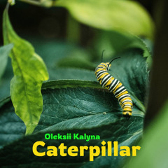 Caterpillar
