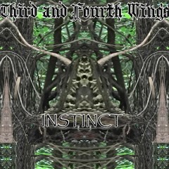 Third And Fourth Wings - Instinct