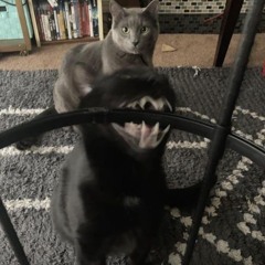 Pulling Away From You