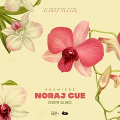 PREMIERE: Noraj Cue - Stormy Silence [Happy Camper Records]