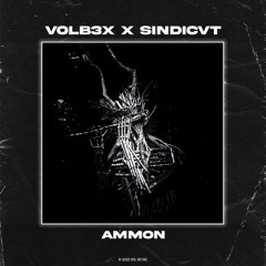 VOLB3X, SINDICVT - Ammon