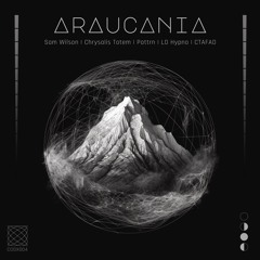 Premiere: Sam Wilson - Mind (LD Hypno Remix