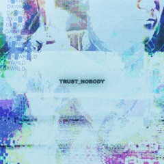 TRUST_NOBODY (ALONGTHEWALLS X DUBLE) ##DOXXWORLD