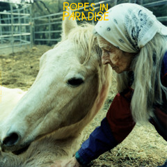 Wishing All These Old Things Were New