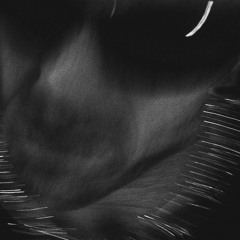 Luke Noize - Enter The Noize (Psycho Killer) FREE DL