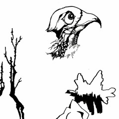 &then. from //compendium//