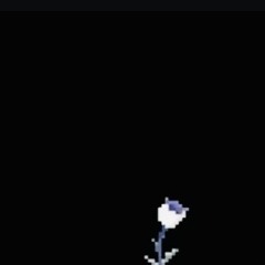 Solxi [Heart of Solxi OST]