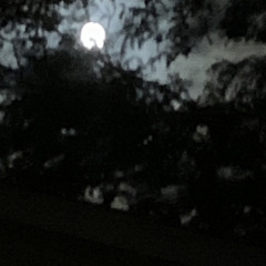 listen before i go (cover)