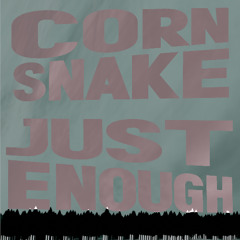 Just Enough