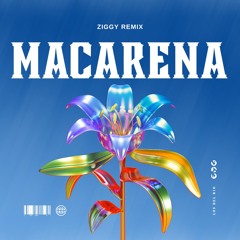 Los Del Rio - Macarena (ZIGGY REMIX)