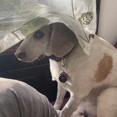 Memphis (Lofi jazz beat)