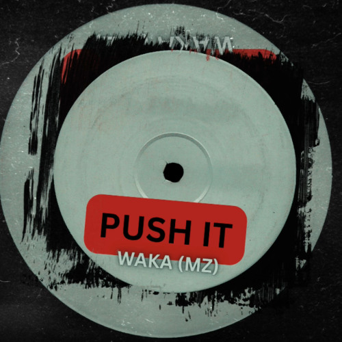 WAKA (MZ)- PUSH IT