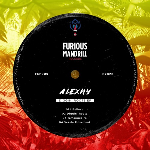 Alexny - Diggin' Roots [FEP009]