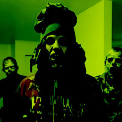 purk flo 1