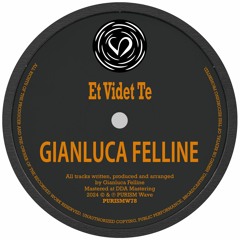 Gianluca Felline - Hidden Stories [PURISMW78]