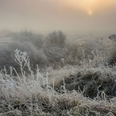 ༒Рязанский Сахар༒