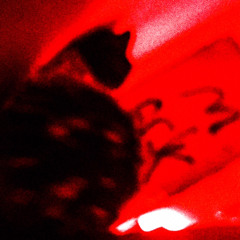 “Comprimido na bag” ft. Yung Lince (Prod.Stuani)