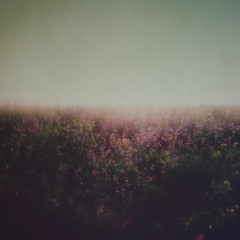 وجهُ الصّباح | محمّد الحجيرات.