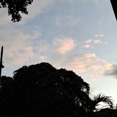 primero de diciembre