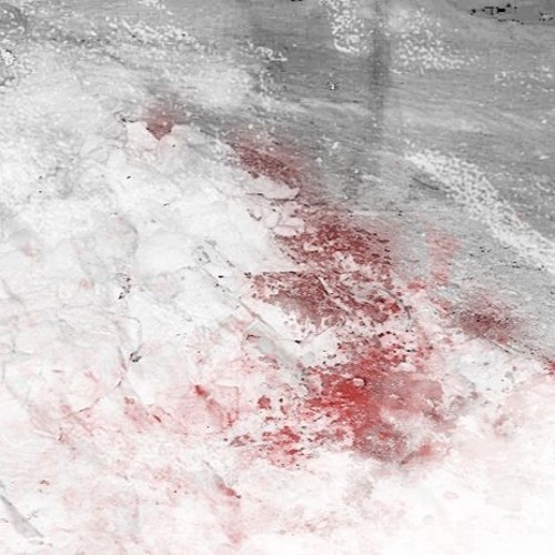 cold (feat. kimistomb)