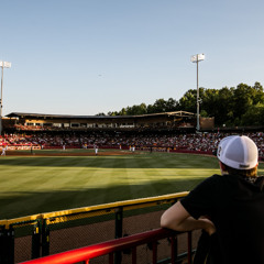 South Carolina Baseball Highlights - LSU 5-15-25