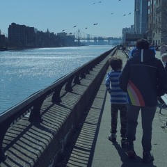 Starter Kit: Foundations and Forms