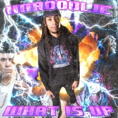 What Is Up (feat. unrooolie)