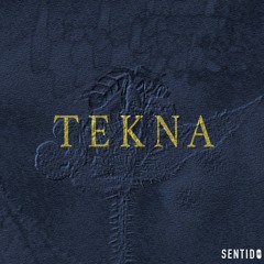 Sentido - Tekna