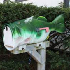 Mailboxed