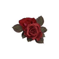 Martine Rose - madk1d