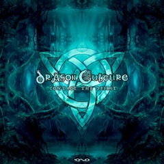 Contact the Spirit (Original Mix)